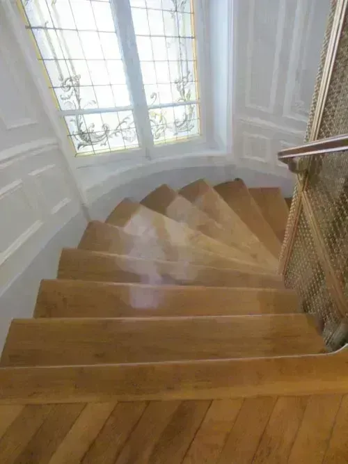 Cage d'escalier propre et entretenue
